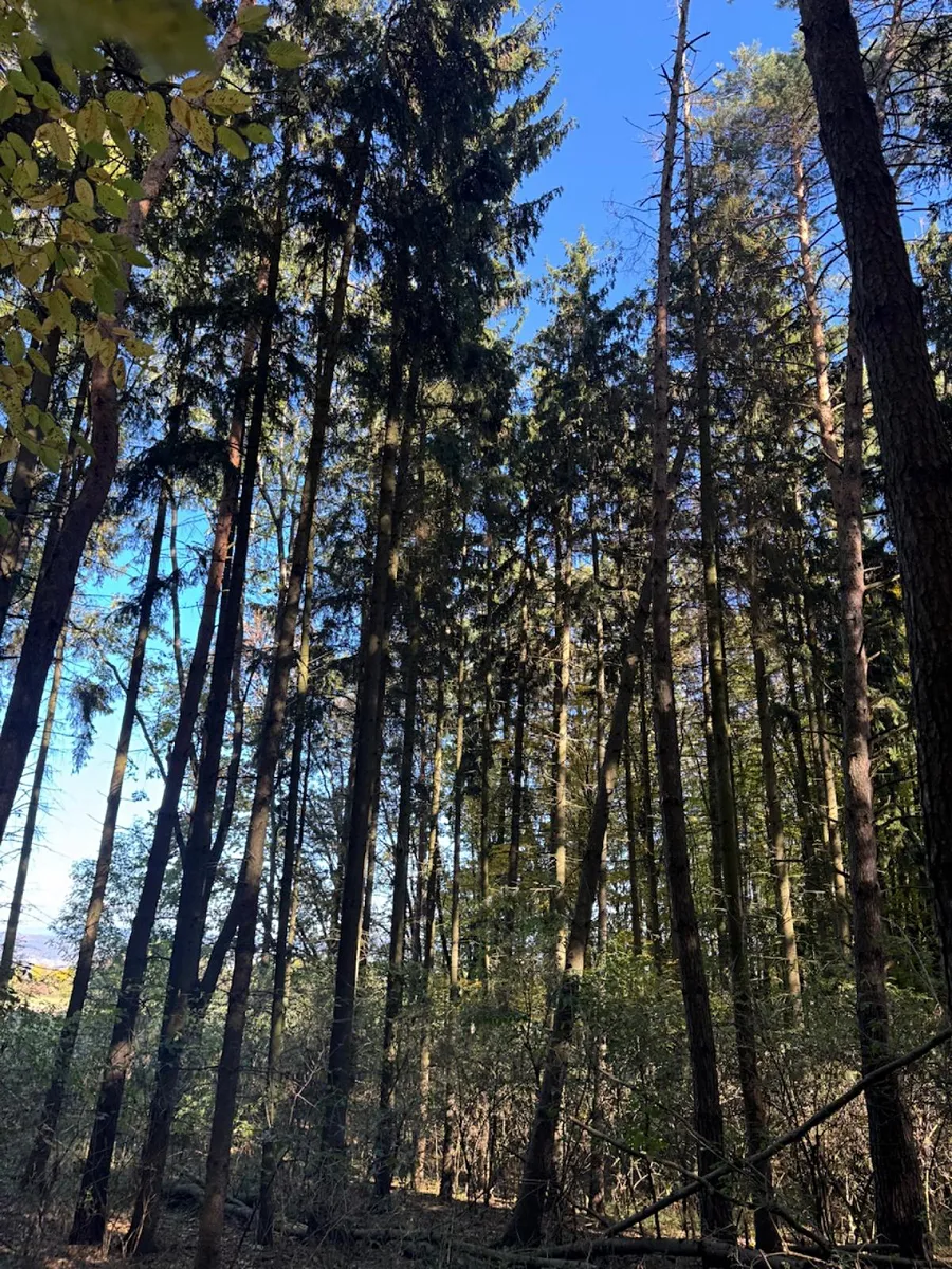 Fotka 6 z 10